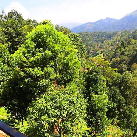 Green Magic Riverside Resort Munnar Zewnętrze zdjęcie
