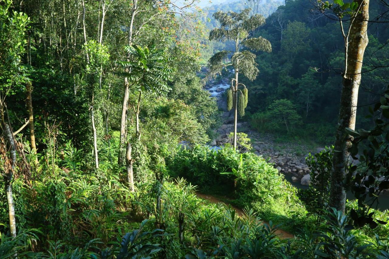 Green Magic Riverside Resort Munnar Zewnętrze zdjęcie