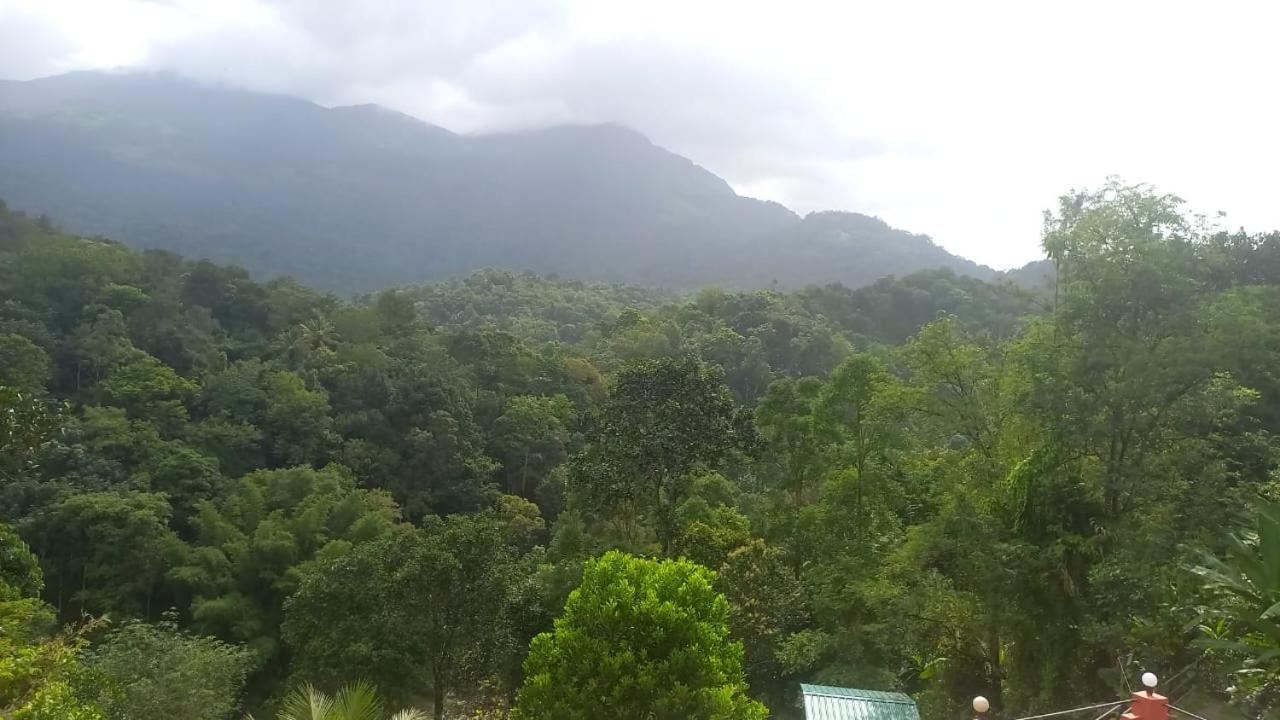 Green Magic Riverside Resort Munnar Zewnętrze zdjęcie