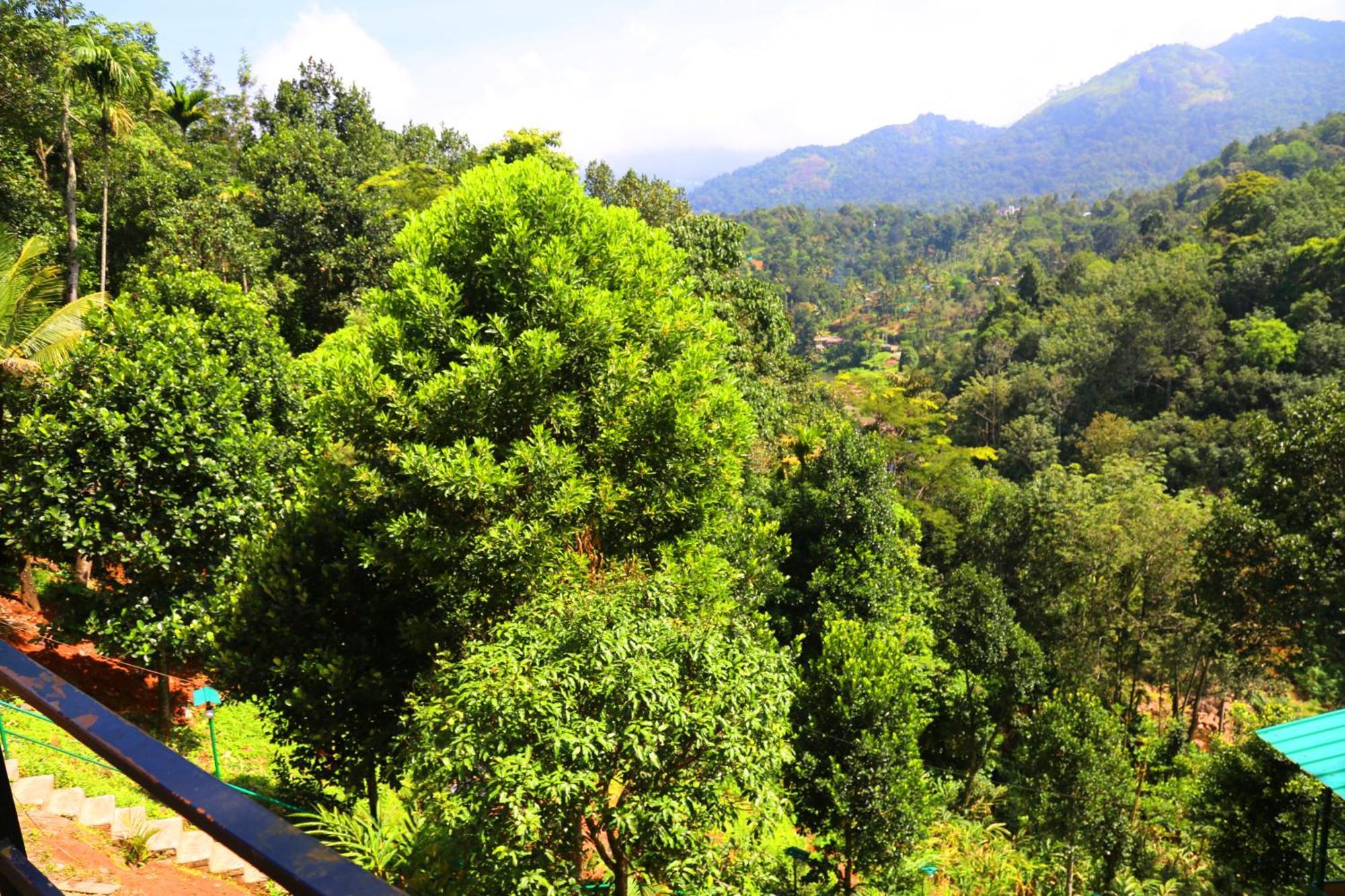 Green Magic Riverside Resort Munnar Zewnętrze zdjęcie