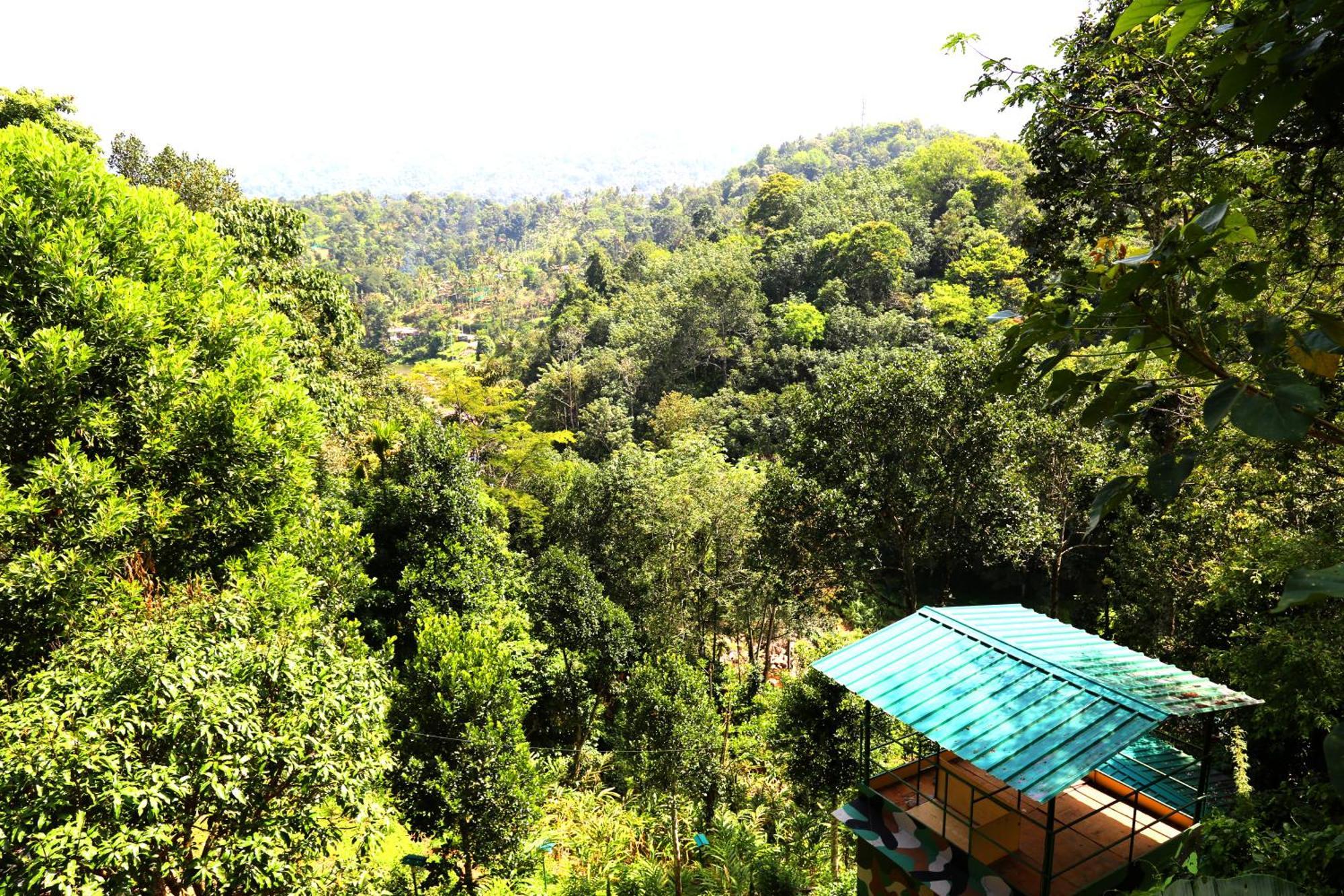 Green Magic Riverside Resort Munnar Zewnętrze zdjęcie